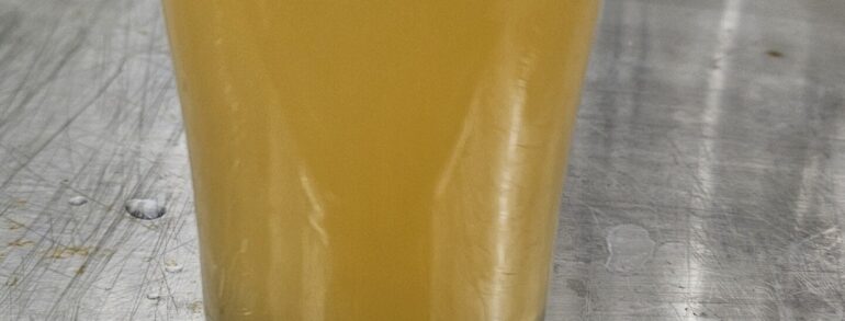 Sudsfest Wheat