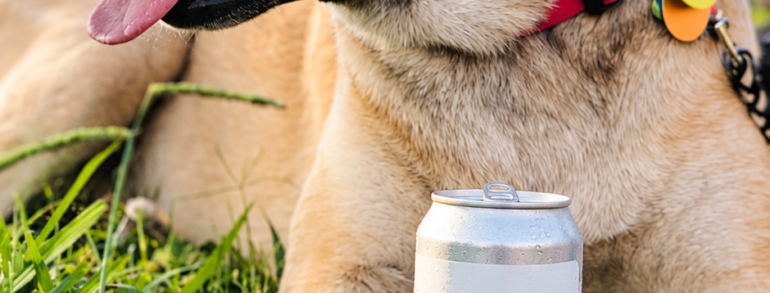 Howl at The Hop